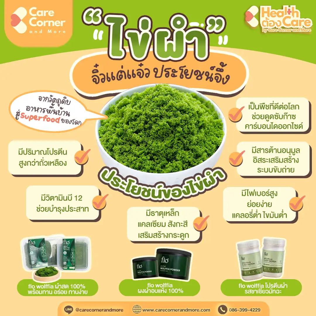 (ไข่)ผำ จิ๋วแต่แจ๋ว ประโยชน์จึ้ง