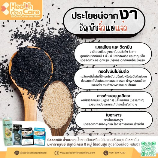 ประโยชน์จากงา ธัญพืชจิ๋วแต่แจ๋ว